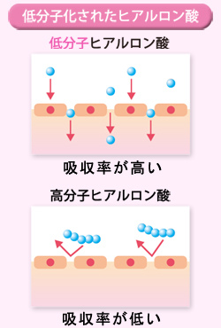 ヒアルロン酸イメージ