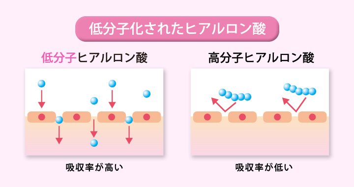 ヒアルロン酸イメージ