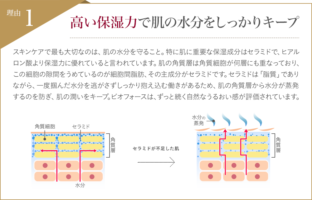 高い保湿力で肌の水分をしっかりキープ