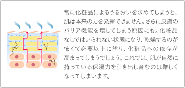 常に化粧品によるうるおいを求めてしまうと、肌は本来の力を発揮できません。