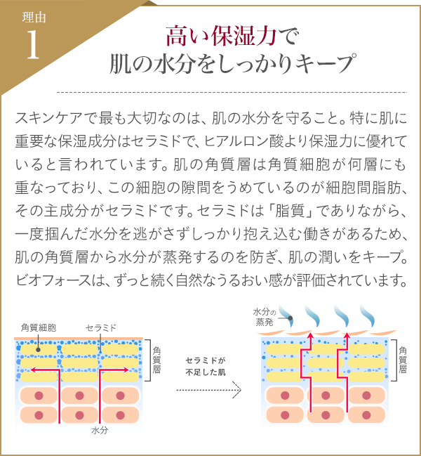 高い保湿力で肌の水分をしっかりキープ