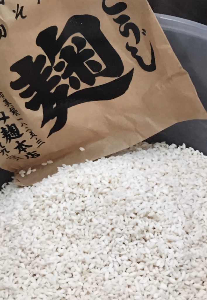 麹、発酵って何？