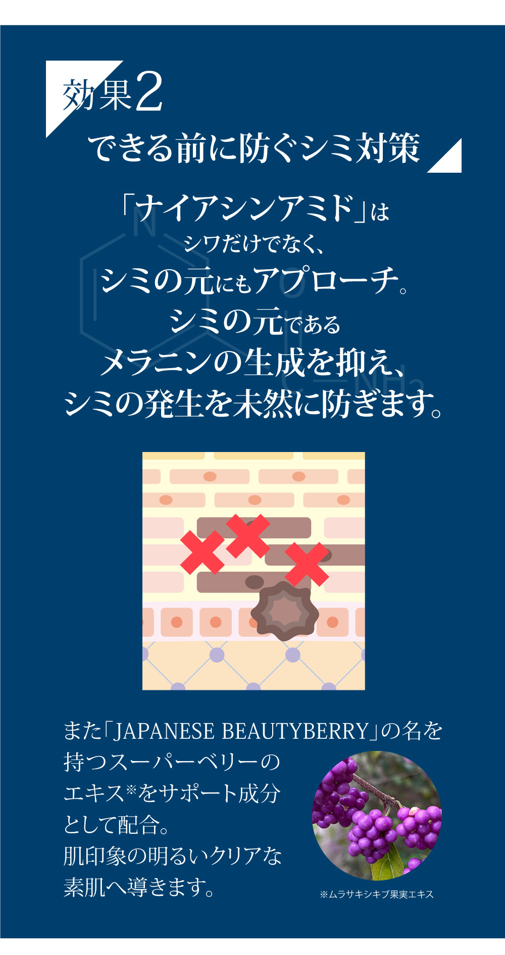 薬用リンクル＆ホワイトニング ターゲットゲル　詳細12