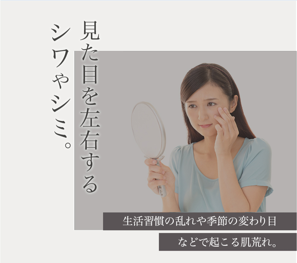 薬用リンクル＆ホワイトニング ターゲットゲル　詳細2